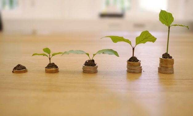 Renda Passiva: O que é e como criar ativos financeiros